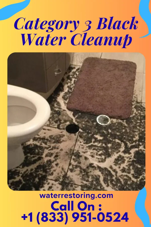 Category 3 Black Water Cleanup in Fillmore, IL