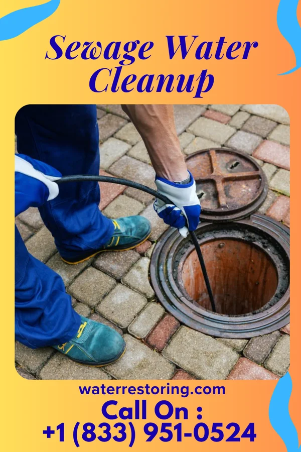 Sewage Water Cleanup in Fillmore, IL