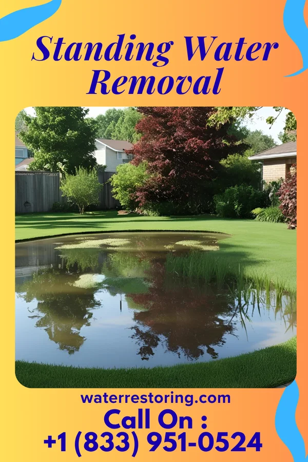 Standing Water Removal in Fillmore, IL